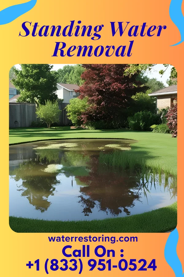 Standing Water Removal in Tees Toh, AZ